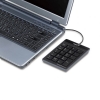 GENIUS NUMPAD i110